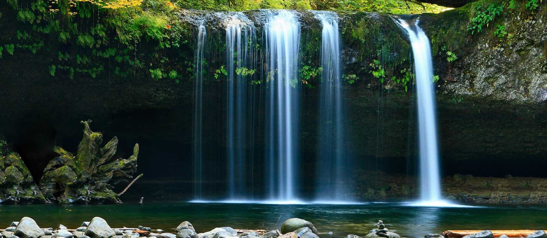 Die Natur ist unser Vorbild